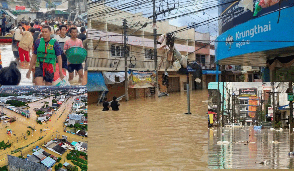 เขต 8 เคลียร์ชัด ไม่ได้ดุ - kapook